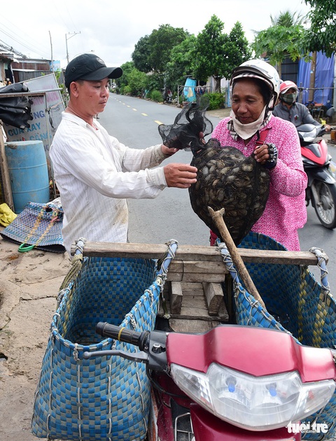 Chợ cua đồng nửa đêm về sáng trong lòng thành phố - Ảnh 3. Chợ cua đồng nửa đêm về sáng trong lòng thành phố - Ảnh 3.