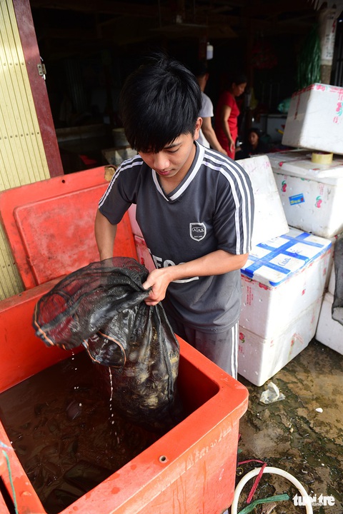 Chợ cua đồng nửa đêm về sáng trong lòng thành phố - Ảnh 5. Chợ cua đồng nửa đêm về sáng trong lòng thành phố - Ảnh 5.