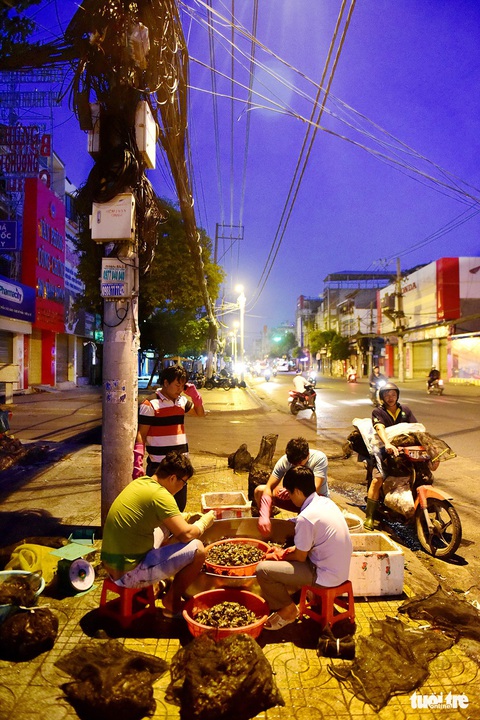 Chợ cua đồng nửa đêm về sáng trong lòng thành phố - Ảnh 10. Chợ cua đồng nửa đêm về sáng trong lòng thành phố - Ảnh 10.