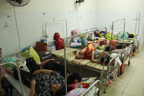 Đà Nẵng: Sốt xuất huyết tăng gấp 3 lần, đã có nạn nhân tử vong - Ảnh 1. Đà Nẵng: Sốt xuất huyết tăng gấp 3 lần, đã có nạn nhân tử vong - Ảnh 1.