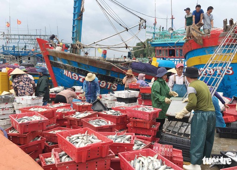Tàu nằm bờ sau bão, ngư dân lại thấp thỏm lo áp thấp dồn dập - Ảnh 5. Tàu nằm bờ sau bão, ngư dân lại thấp thỏm lo áp thấp dồn dập - Ảnh 5.