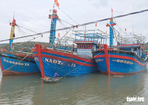 Tàu nằm bờ sau bão, ngư dân lại thấp thỏm lo áp thấp dồn dập - Ảnh 2. Tàu nằm bờ sau bão, ngư dân lại thấp thỏm lo áp thấp dồn dập - Ảnh 2.