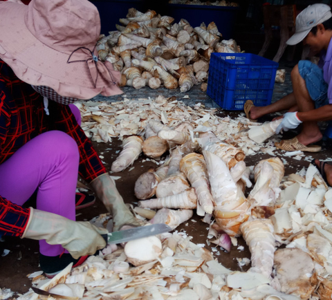 Liên lụy dịch tả heo, 1kg măng Núi Cấm giá không bằng 1 ly cà phê - Ảnh 2. Liên lụy dịch tả heo, 1kg măng Núi Cấm giá không bằng 1 ly cà phê - Ảnh 2.