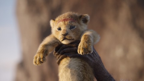 Hollywood mùa hè 2019 vắng bom tấn cực đỉnh, phim hay khán giả lại chê - Ảnh 2. Hollywood mùa hè 2019 vắng bom tấn cực đỉnh, phim hay khán giả lại chê - Ảnh 2.