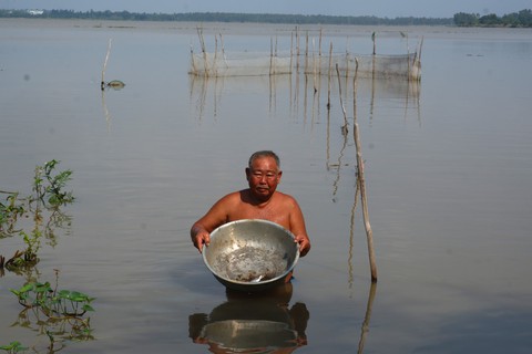Hoài niệm con cá đồng mùa lũ - Ảnh 1. Hoài niệm con cá đồng mùa lũ - Ảnh 1.