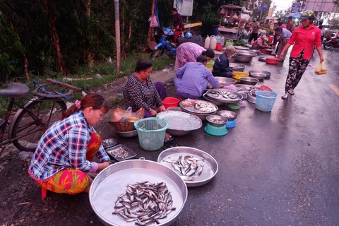 Hoài niệm con cá đồng mùa lũ - Ảnh 3. Hoài niệm con cá đồng mùa lũ - Ảnh 3.