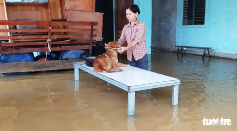 Bị nước lũ cô lập, người dân Hương Khê lo di dời tài sản, gia súc - Ảnh 7. Bị nước lũ cô lập, người dân Hương Khê lo di dời tài sản, gia súc - Ảnh 7.