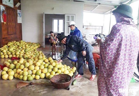 Thanh niên giải cứu bưởi cho bà con vùng lũ trong đêm - Ảnh 4. Thanh niên giải cứu bưởi cho bà con vùng lũ trong đêm - Ảnh 4.