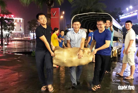 Thanh niên giải cứu bưởi cho bà con vùng lũ trong đêm - Ảnh 2. Thanh niên giải cứu bưởi cho bà con vùng lũ trong đêm - Ảnh 2.