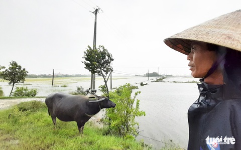 Dân vùng lũ Hà Tĩnh co ro chờ nước rút từng giờ - Ảnh 10. Dân vùng lũ Hà Tĩnh co ro chờ nước rút từng giờ - Ảnh 10.