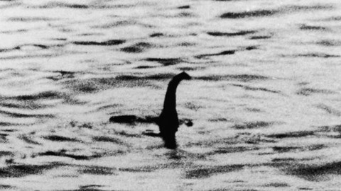 Quái vật Hồ Loch Ness là một con lươn khổng lồ? - Ảnh 1. Quái vật Hồ Loch Ness là một con lươn khổng lồ? - Ảnh 1.