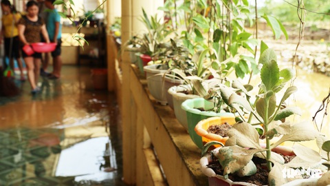 Trường ngập nặng, thầy cô dồn lực dọn dẹp đón học sinh - Ảnh 5. Trường ngập nặng, thầy cô dồn lực dọn dẹp đón học sinh - Ảnh 5.