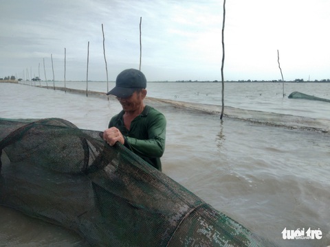 Nước thượng nguồn Mekong lên nhanh, mực nước ĐBSCL vẫn dưới báo động 1 - Ảnh 2. Nước thượng nguồn Mekong lên nhanh, mực nước ĐBSCL vẫn dưới báo động 1 - Ảnh 2.