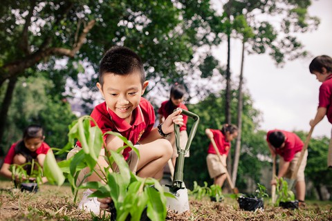 Mùa khai giảng xanh ở VAS - Ảnh 4. Mùa khai giảng xanh ở VAS - Ảnh 4.