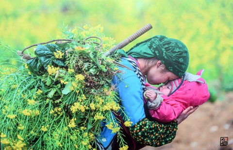 Nghệ sĩ ảnh trưng bày và bán 57 ảnh tuyệt đẹp xây nhà lưu trú cho học trò vùng cao - Ảnh 11. Nghệ sĩ ảnh trưng bày và bán 57 ảnh tuyệt đẹp xây nhà lưu trú cho học trò vùng cao - Ảnh 11.