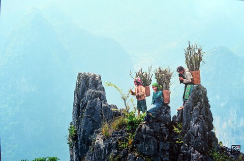 Nghệ sĩ ảnh trưng bày và bán 57 ảnh tuyệt đẹp xây nhà lưu trú cho học trò vùng cao - Ảnh 12. Nghệ sĩ ảnh trưng bày và bán 57 ảnh tuyệt đẹp xây nhà lưu trú cho học trò vùng cao - Ảnh 12.