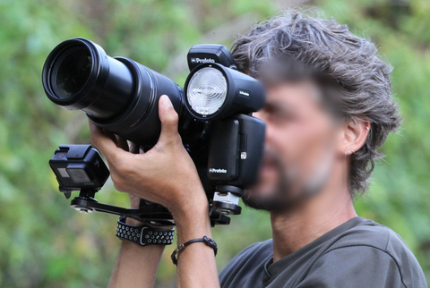 Hướng dẫn viên từ chối dẫn khách lên Sơn Trà chụp voọc vì dùng đèn flash - Ảnh 3. Hướng dẫn viên từ chối dẫn khách lên Sơn Trà chụp voọc vì dùng đèn flash - Ảnh 3.