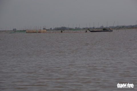 Giá cá linh còn 150.000đ-180.000đ/kg nhờ nước lũ lên cao - Ảnh 4. Giá cá linh còn 150.000đ-180.000đ/kg nhờ nước lũ lên cao - Ảnh 4.