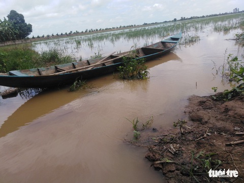Giá cá linh còn 150.000đ-180.000đ/kg nhờ nước lũ lên cao - Ảnh 5. Giá cá linh còn 150.000đ-180.000đ/kg nhờ nước lũ lên cao - Ảnh 5.