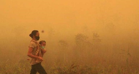 Chúng ta giờ đây phải chung sống với cháy rừng tàn khốc - Ảnh 4. Chúng ta giờ đây phải chung sống với cháy rừng tàn khốc - Ảnh 4.