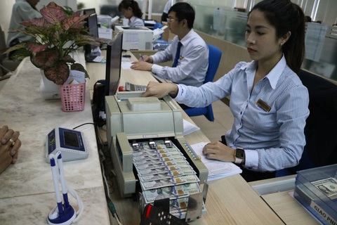 Giá USD ‘bất động’ - Ảnh 1. Giá USD ‘bất động’ - Ảnh 1.