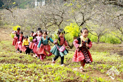 Trần Duy Quang vô địch cự ly 70km marathon đường mòn - Ảnh 4. Trần Duy Quang vô địch cự ly 70km marathon đường mòn - Ảnh 4.