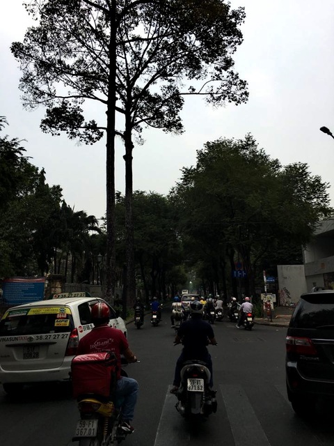 Vì sao TP.HCM trời đang đẹp bỗng nhiên tù mù? - Ảnh 4. Vì sao TP.HCM trời đang đẹp bỗng nhiên tù mù? - Ảnh 4.