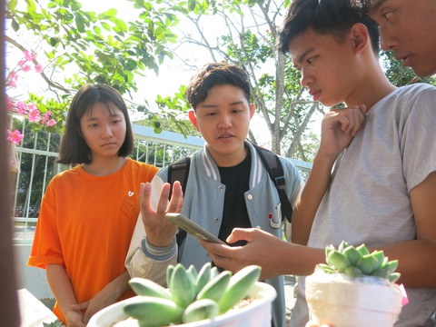 Bán sen đá, mua quà ngày xuân - Ảnh 1. Bán sen đá, mua quà ngày xuân - Ảnh 1.