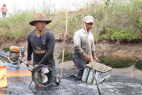Được mùa tôm càng, năm nay ăn tết lớn rồi bây ơi - Ảnh 2. Được mùa tôm càng, năm nay ăn tết lớn rồi bây ơi - Ảnh 2.