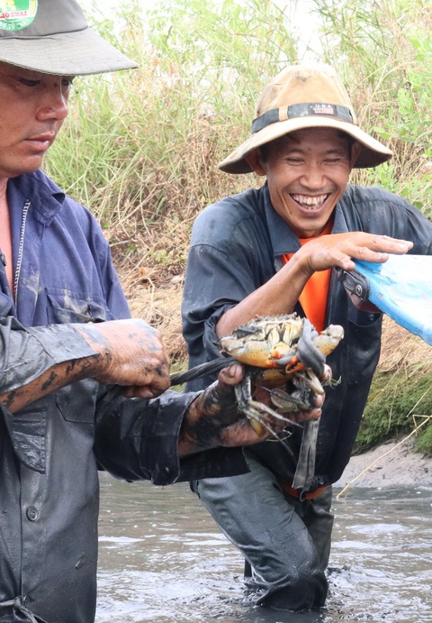 Được mùa tôm càng, năm nay ăn tết lớn rồi bây ơi - Ảnh 7. Được mùa tôm càng, năm nay ăn tết lớn rồi bây ơi - Ảnh 7.