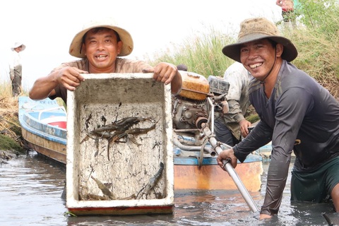 Được mùa tôm càng, năm nay ăn tết lớn rồi bây ơi - Ảnh 4. Được mùa tôm càng, năm nay ăn tết lớn rồi bây ơi - Ảnh 4.