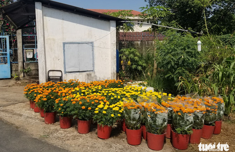Nghe chuyện người chồng mất vợ, bà con ra ủng hộ mua hết bông - Ảnh 1. Nghe chuyện người chồng mất vợ, bà con ra ủng hộ mua hết bông - Ảnh 1.