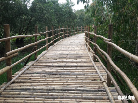 Cầu tre dài nhất Việt Nam và rừng tràm Trà Sư lập kỷ lục Việt Nam - Ảnh 2.