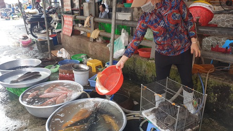Dịch vụ mâm cúng ông Công, ông Táo hốt bạc - Ảnh 5. Dịch vụ mâm cúng ông Công, ông Táo hốt bạc - Ảnh 5.