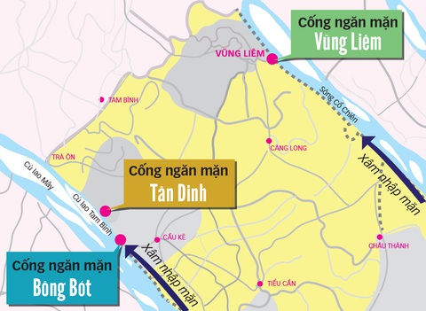 Miền Tây tất bật chống mặn xuyên Tết - Ảnh 3. Miền Tây tất bật chống mặn xuyên Tết - Ảnh 3.