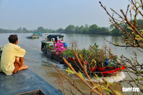 Vượt dòng Cửu Long, ghe hoa về phố - Ảnh 8. Vượt dòng Cửu Long, ghe hoa về phố - Ảnh 8.