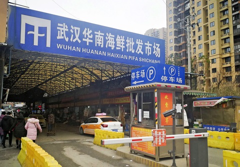 Người đàn ông ở Nhật bị bệnh viêm phổi lạ sau khi tới Trung Quốc - Ảnh 1. Người đàn ông ở Nhật bị bệnh viêm phổi lạ sau khi tới Trung Quốc - Ảnh 1.