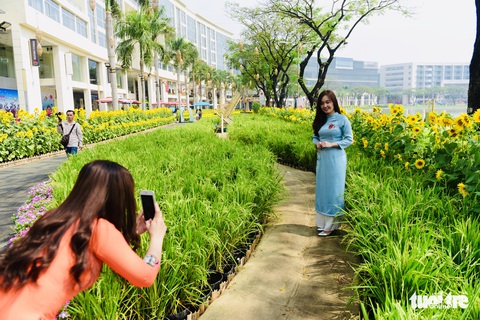 Cận cảnh đường hoa rước lộc đồng hoa Phú Mỹ Hưng Tết Canh Tý - Ảnh 6. Cận cảnh đường hoa rước lộc đồng hoa Phú Mỹ Hưng Tết Canh Tý - Ảnh 6.