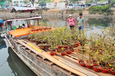 Mai, quất miền Tây vừa cập bến Bình Đông đã có người mua - Ảnh 7. Mai, quất miền Tây vừa cập bến Bình Đông đã có người mua - Ảnh 7.