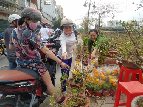 Mai, quất miền Tây vừa cập bến Bình Đông đã có người mua - Ảnh 3. Mai, quất miền Tây vừa cập bến Bình Đông đã có người mua - Ảnh 3.