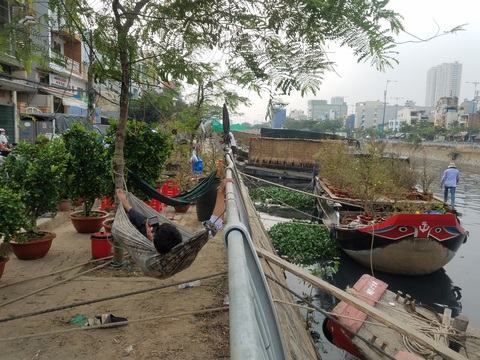 Mai, quất miền Tây vừa cập bến Bình Đông đã có người mua - Ảnh 13. Mai, quất miền Tây vừa cập bến Bình Đông đã có người mua - Ảnh 13.