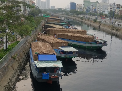 Mai, quất miền Tây vừa cập bến Bình Đông đã có người mua - Ảnh 14. Mai, quất miền Tây vừa cập bến Bình Đông đã có người mua - Ảnh 14.