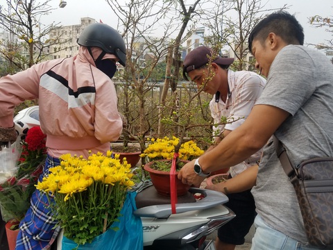 Mai, quất miền Tây vừa cập bến Bình Đông đã có người mua - Ảnh 10. Mai, quất miền Tây vừa cập bến Bình Đông đã có người mua - Ảnh 10.