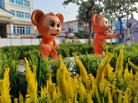 Đường hoa Cần Thơ năm nay sẽ Xuân này hơn hẳn mấy xuân qua - Ảnh 13. Đường hoa Cần Thơ năm nay sẽ Xuân này hơn hẳn mấy xuân qua - Ảnh 13.
