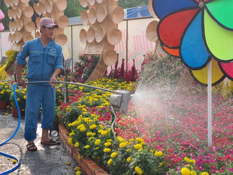 Đường hoa Cần Thơ năm nay sẽ Xuân này hơn hẳn mấy xuân qua - Ảnh 21. Đường hoa Cần Thơ năm nay sẽ Xuân này hơn hẳn mấy xuân qua - Ảnh 21.