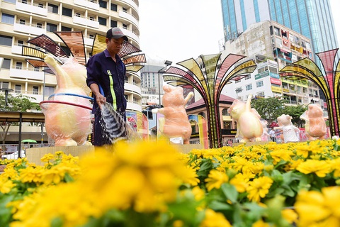 Hoa nội khoe sắc trên Đường hoa Nguyễn Huệ 2020 - Ảnh 1. Hoa nội khoe sắc trên Đường hoa Nguyễn Huệ 2020 - Ảnh 1.