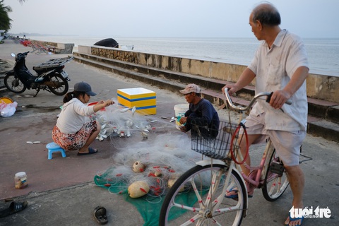 Nhớ quá con cá mòi tươi rói vùng biển ngang miền Trung - Ảnh 2. Nhớ quá con cá mòi tươi rói vùng biển ngang miền Trung - Ảnh 2.