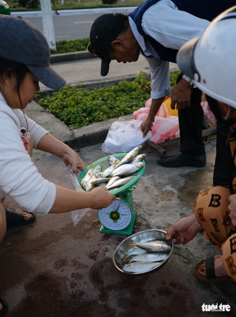 Nhớ quá con cá mòi tươi rói vùng biển ngang miền Trung - Ảnh 8. Nhớ quá con cá mòi tươi rói vùng biển ngang miền Trung - Ảnh 8.