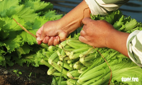 Bữa cơm tất niên ở trại giam - Ảnh 3. Bữa cơm tất niên ở trại giam - Ảnh 3.