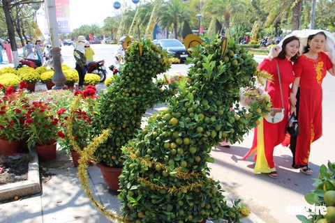Quất bonsai tạo hình chuột đắt như tôm tươi - Ảnh 3. Quất bonsai tạo hình chuột đắt như tôm tươi - Ảnh 3.